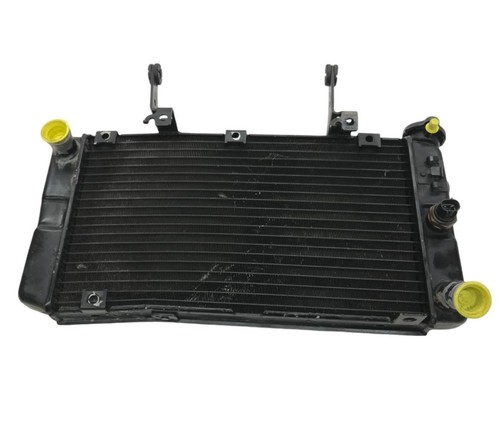 Radiatore acqua suzuki 1000 - dl,